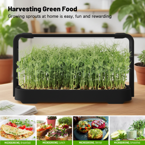 NexaGreen Microgreen Kweekset