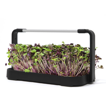 NexaGreen Microgreen Kweekset