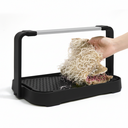 NexaGreen Microgreen Kweekset