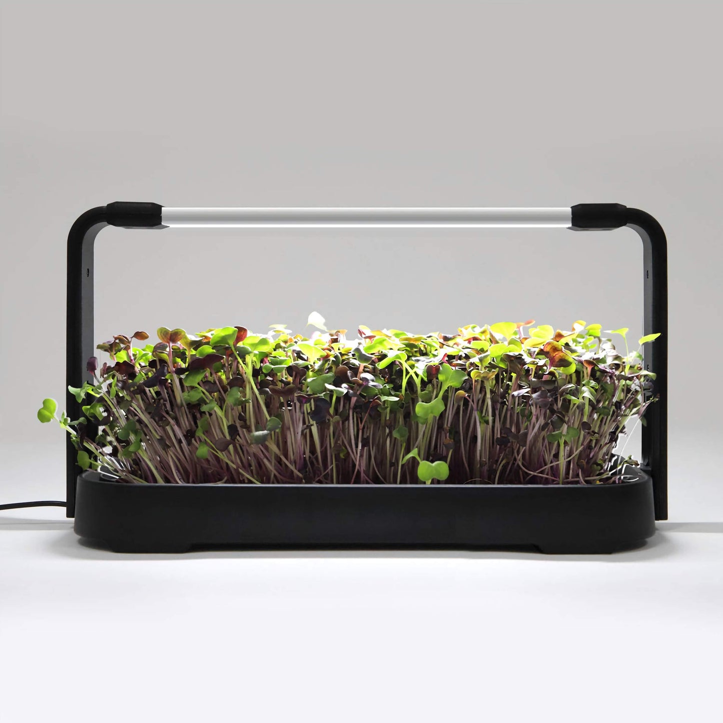 NexaGreen Microgreen Kweekset