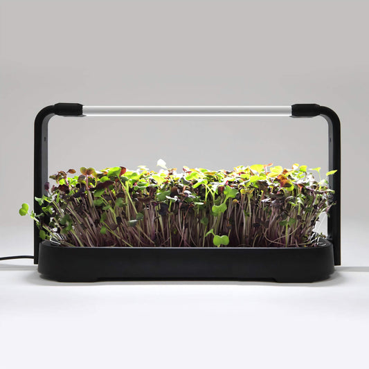 NexaGreen Microgreen Kweekset